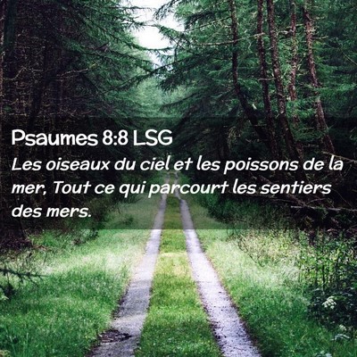 Picture 02 - Psaumes 8:8 LSG - Les oiseaux du ciel et les poissons de la mer, - Bible Verse Picture