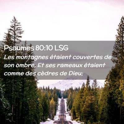 Picture 02 - Psaumes 80:10 LSG - Les montagnes étaient couvertes de son ombre, Et - Bible Verse Picture