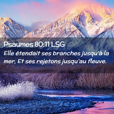 Picture 02 - Psaumes 80:11 LSG - Elle étendait ses branches jusqu'à la mer, Et - Bible Verse Picture