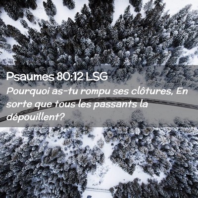 Picture 02 - Psaumes 80:12 LSG - Pourquoi as-tu rompu ses clôtures, En sorte que - Bible Verse Picture