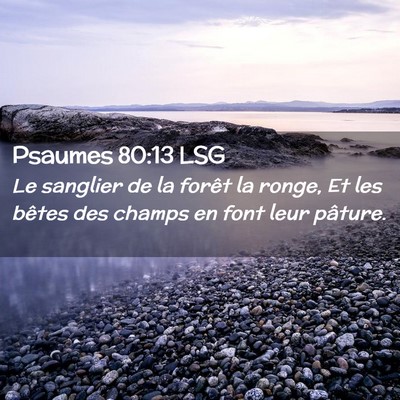 Picture 02 - Psaumes 80:13 LSG - Le sanglier de la forêt la ronge, Et les bêtes - Bible Verse Picture