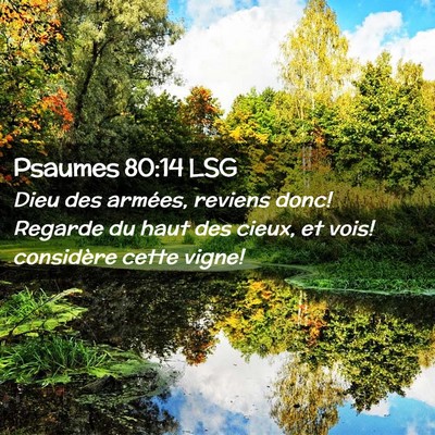 Picture 02 - Psaumes 80:14 LSG - Dieu des armées, reviens donc! Regarde du haut - Bible Verse Picture