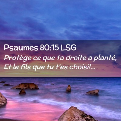 Picture 02 - Psaumes 80:15 LSG - Protège ce que ta droite a planté, Et le fils - Bible Verse Picture