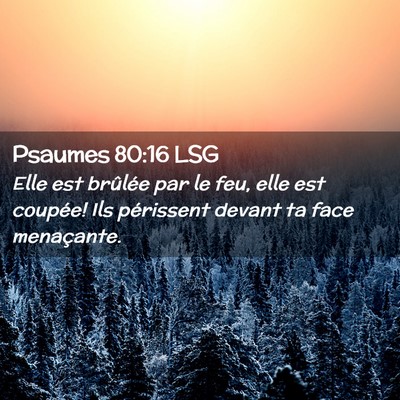 Picture 02 - Psaumes 80:16 LSG - Elle est brûlée par le feu, elle est coupée! - Bible Verse Picture
