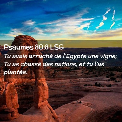 Picture 02 - Psaumes 80:8 LSG - Tu avais arraché de l'Egypte une vigne; Tu as - Bible Verse Picture