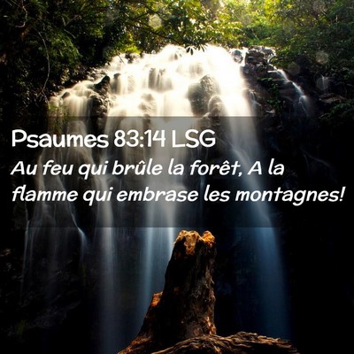 Picture 02 - Psaumes 83:14 LSG - Au feu qui brûle la forêt, A la flamme qui - Bible Verse Picture