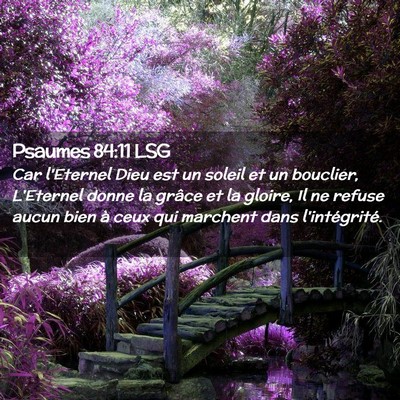 Picture 02 - Psaumes 84:11 LSG - Car l'Eternel Dieu est un soleil et un bouclier, - Bible Verse Picture