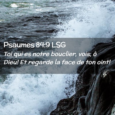 Picture 02 - Psaumes 84:9 LSG - Toi qui es notre bouclier, vois, ô Dieu! Et - Bible Verse Picture
