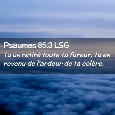 Picture 02 - Psaumes 85:3 LSG - Tu as retiré toute ta fureur, Tu es revenu de - Bible Verse Picture