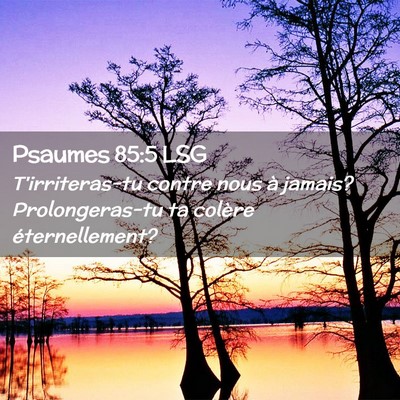 Picture 02 - Psaumes 85:5 LSG - T'irriteras-tu contre nous à jamais? - Bible Verse Picture