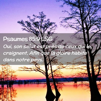 Picture 02 - Psaumes 85:9 LSG - Oui, son salut est près de ceux qui le - Bible Verse Picture