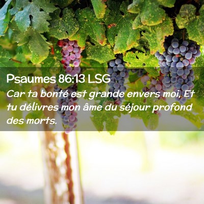 Picture 02 - Psaumes 86:13 LSG - Car ta bonté est grande envers moi, Et tu - Bible Verse Picture