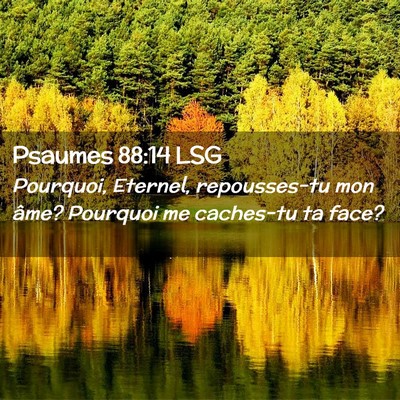 Picture 02 - Psaumes 88:14 LSG - Pourquoi, Eternel, repousses-tu mon âme? - Bible Verse Picture