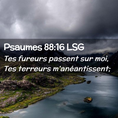 Picture 02 - Psaumes 88:16 LSG - Tes fureurs passent sur moi, Tes terreurs - Bible Verse Picture