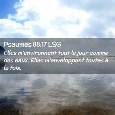 Picture 02 - Psaumes 88:17 LSG - Elles m'environnent tout le jour comme des eaux, - Bible Verse Picture