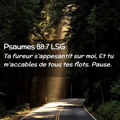 Picture 02 - Psaumes 88:7 LSG - Ta fureur s'appesantit sur moi, Et tu m'accables - Bible Verse Picture