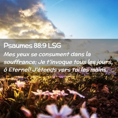 Picture 02 - Psaumes 88:9 LSG - Mes yeux se consument dans la souffrance; Je - Bible Verse Picture