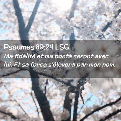Picture 02 - Psaumes 89:24 LSG - Ma fidélité et ma bonté seront avec lui, Et sa - Bible Verse Picture