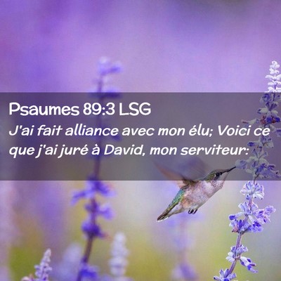 Picture 02 - Psaumes 89:3 LSG - J'ai fait alliance avec mon élu; Voici ce que - Bible Verse Picture