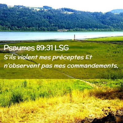 Picture 02 - Psaumes 89:31 LSG - S'ils violent mes préceptes Et n'observent pas - Bible Verse Picture
