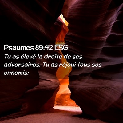 Picture 02 - Psaumes 89:42 LSG - Tu as élevé la droite de ses adversaires, Tu as - Bible Verse Picture