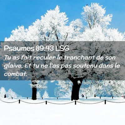 Picture 02 - Psaumes 89:43 LSG - Tu as fait reculer le tranchant de son glaive, Et - Bible Verse Picture