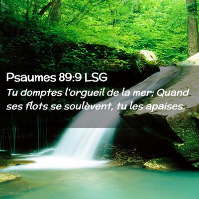 Picture 02 - Psaumes 89:9 LSG - Tu domptes l'orgueil de la mer; Quand ses flots - Bible Verse Picture
