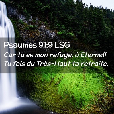 Picture 02 - Psaumes 91:9 LSG - Car tu es mon refuge, ô Eternel! Tu fais du - Bible Verse Picture