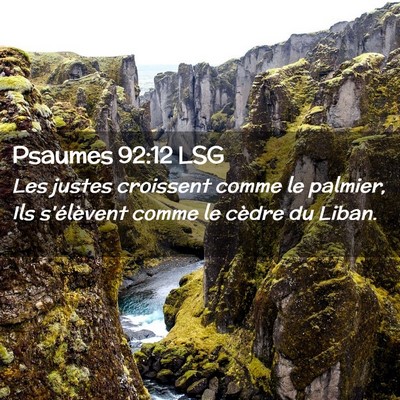 Picture 02 - Psaumes 92:12 LSG - Les justes croissent comme le palmier, Ils - Bible Verse Picture