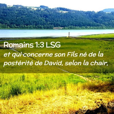 Picture 02 - Romains 1:3 LSG - et qui concerne son Fils né de la postérité de - Bible Verse Picture