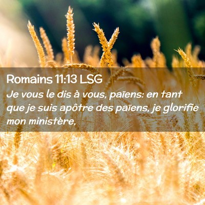 Picture 02 - Romains 11:13 LSG - Je vous le dis à vous, païens: en tant que je - Bible Verse Picture