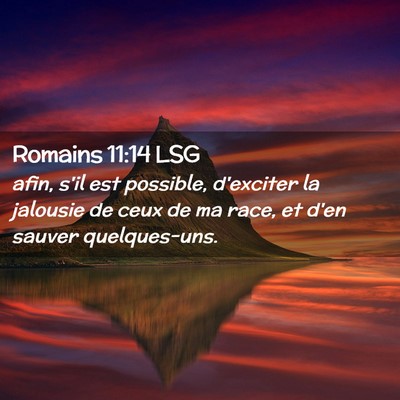 Picture 02 - Romains 11:14 LSG - afin, s'il est possible, d'exciter la jalousie de - Bible Verse Picture