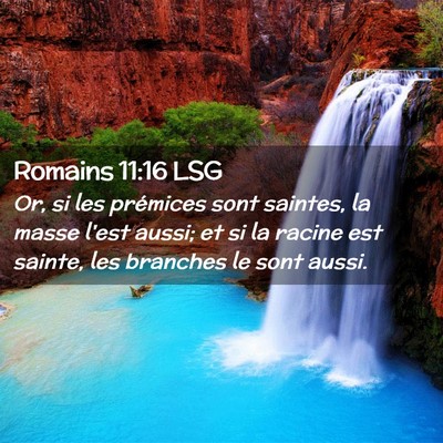 Picture 02 - Romains 11:16 LSG - Or, si les prémices sont saintes, la masse l'est - Bible Verse Picture