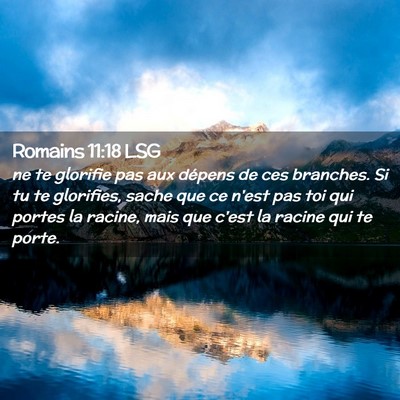Picture 02 - Romains 11:18 LSG - ne te glorifie pas aux dépens de ces branches. - Bible Verse Picture