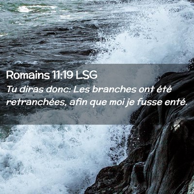 Picture 02 - Romains 11:19 LSG - Tu diras donc: Les branches ont été - Bible Verse Picture