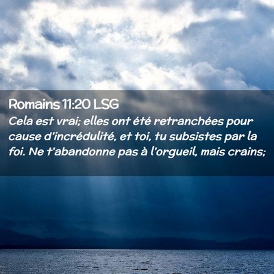 Picture 02 - Romains 11:20 LSG - Cela est vrai; elles ont été retranchées pour - Bible Verse Picture