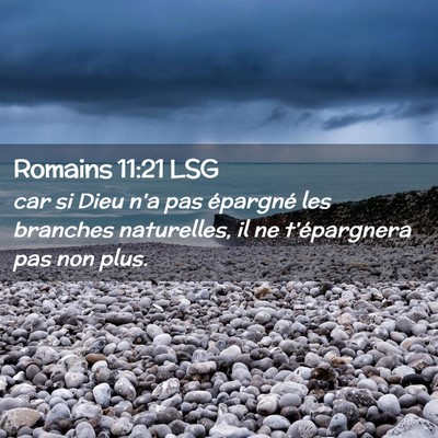 Picture 02 - Romains 11:21 LSG - car si Dieu n'a pas épargné les branches - Bible Verse Picture