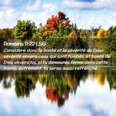 Picture 02 - Romains 11:22 LSG - Considère donc la bonté et la sévérité de - Bible Verse Picture