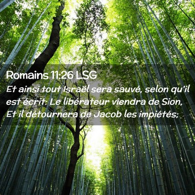 Picture 02 - Romains 11:26 LSG - Et ainsi tout Israël sera sauvé, selon qu'il - Bible Verse Picture
