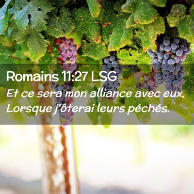 Picture 02 - Romains 11:27 LSG - Et ce sera mon alliance avec eux, Lorsque - Bible Verse Picture