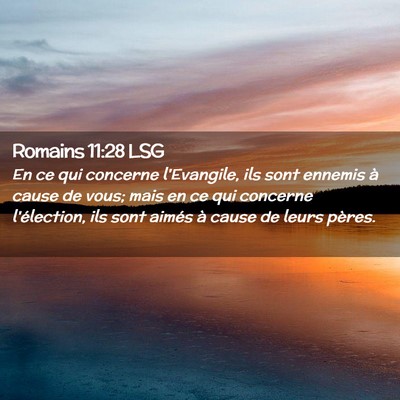 Picture 02 - Romains 11:28 LSG - En ce qui concerne l'Evangile, ils sont ennemis - Bible Verse Picture