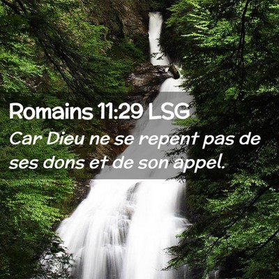 Picture 02 - Romains 11:29 LSG - Car Dieu ne se repent pas de ses dons et de son - Bible Verse Picture