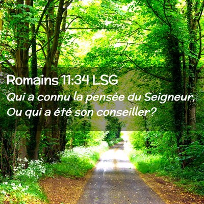 Picture 02 - Romains 11:34 LSG - Qui a connu la pensée du Seigneur, Ou qui a - Bible Verse Picture