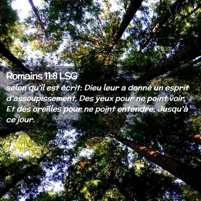 Picture 02 - Romains 11:8 LSG - selon qu'il est écrit: Dieu leur a donné un - Bible Verse Picture