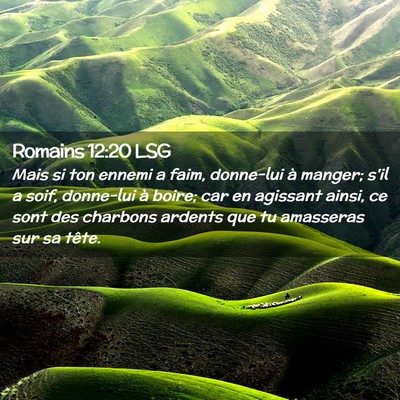Picture 02 - Romains 12:20 LSG - Mais si ton ennemi a faim, donne-lui à manger; - Bible Verse Picture