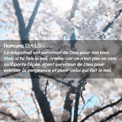 Picture 02 - Romains 13:4 LSG - Le magistrat est serviteur de Dieu pour ton bien. - Bible Verse Picture