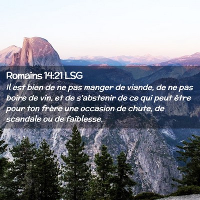 Picture 02 - Romains 14:21 LSG - Il est bien de ne pas manger de viande, de ne pas - Bible Verse Picture