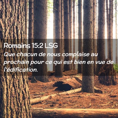 Picture 02 - Romains 15:2 LSG - Que chacun de nous complaise au prochain pour ce - Bible Verse Picture