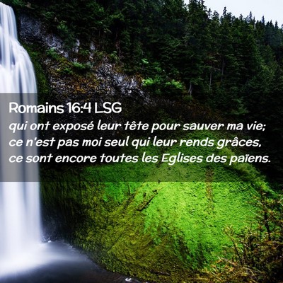 Picture 02 - Romains 16:4 LSG - qui ont exposé leur tête pour sauver ma vie; ce - Bible Verse Picture