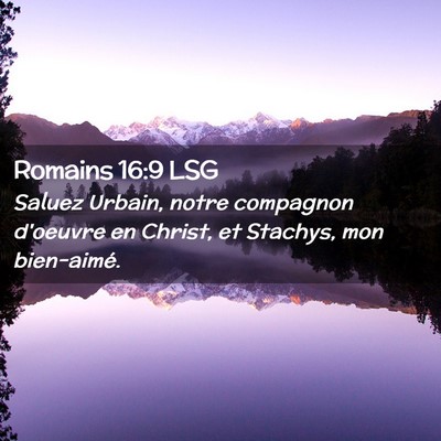 Picture 02 - Romains 16:9 LSG - Saluez Urbain, notre compagnon d'oeuvre en - Bible Verse Picture